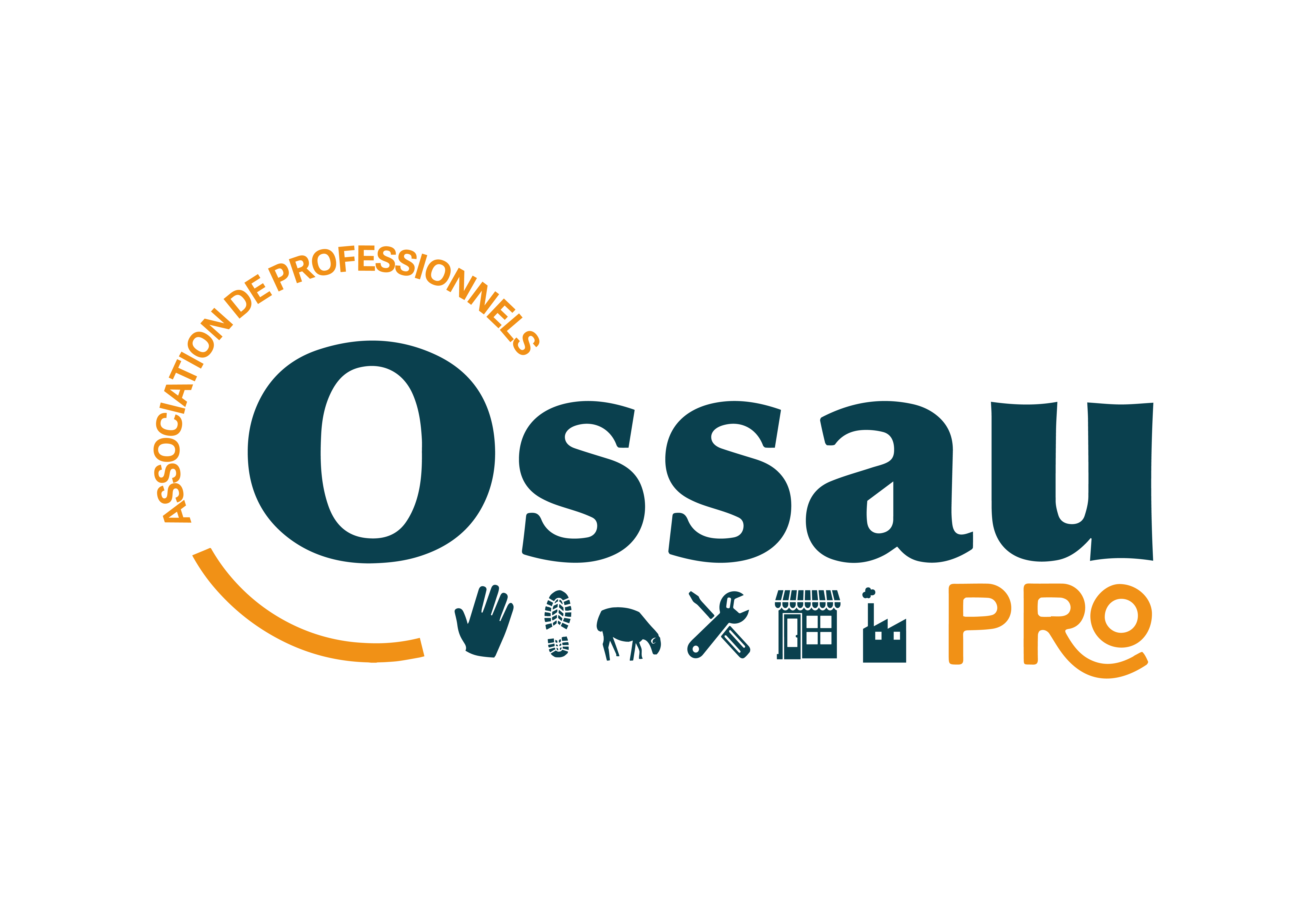 Ossau-Pro