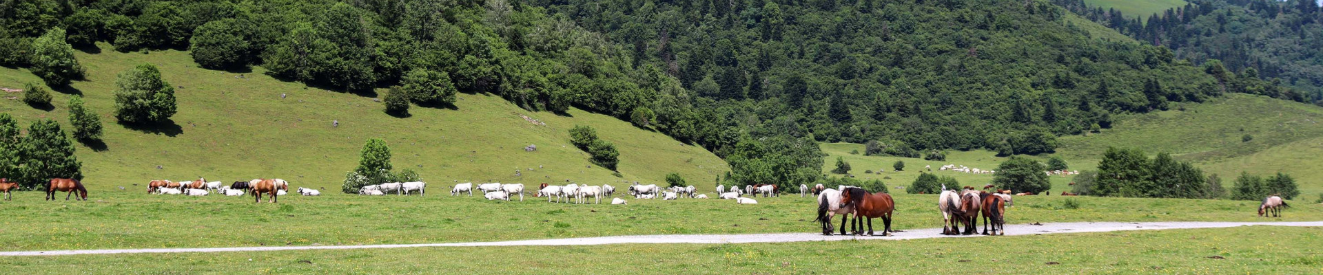 Plateau du Bénou ©OTVO