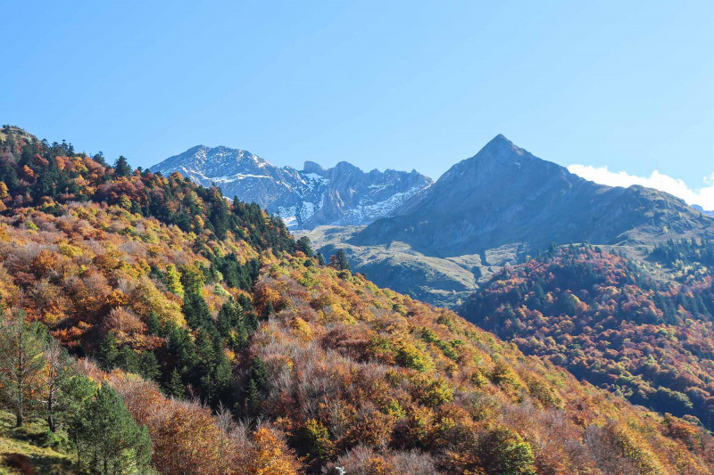 Automne à Pont de Camps ©OTVO