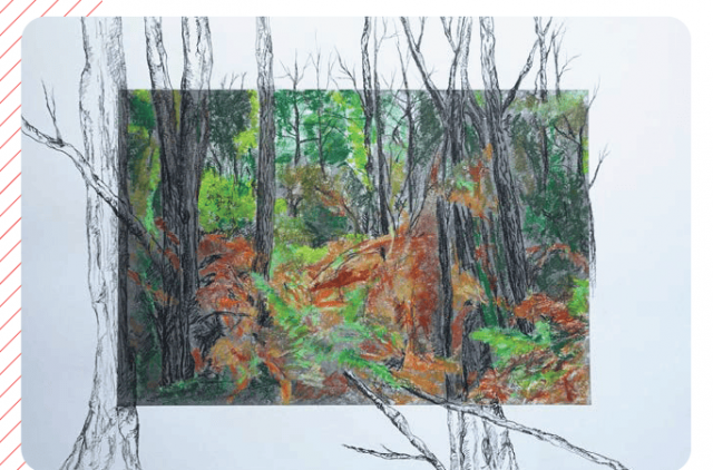 Expositions