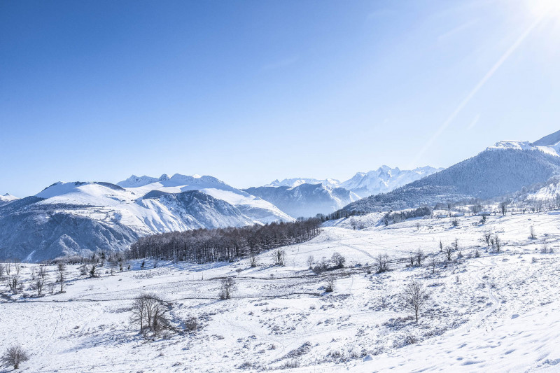 Séjours hiver