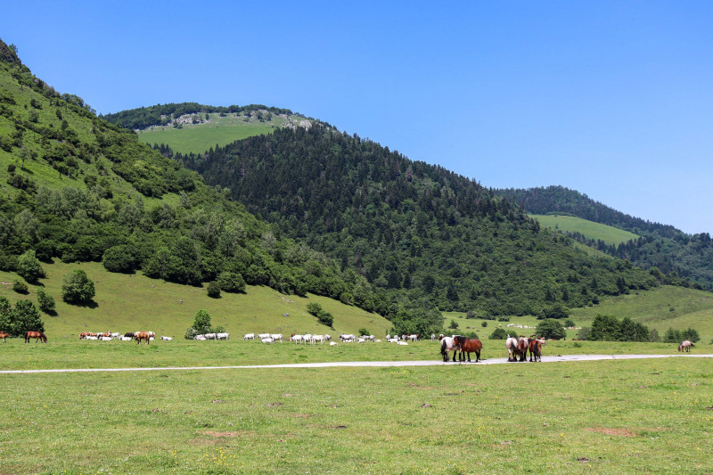 Balades accessibles &agrave; tous