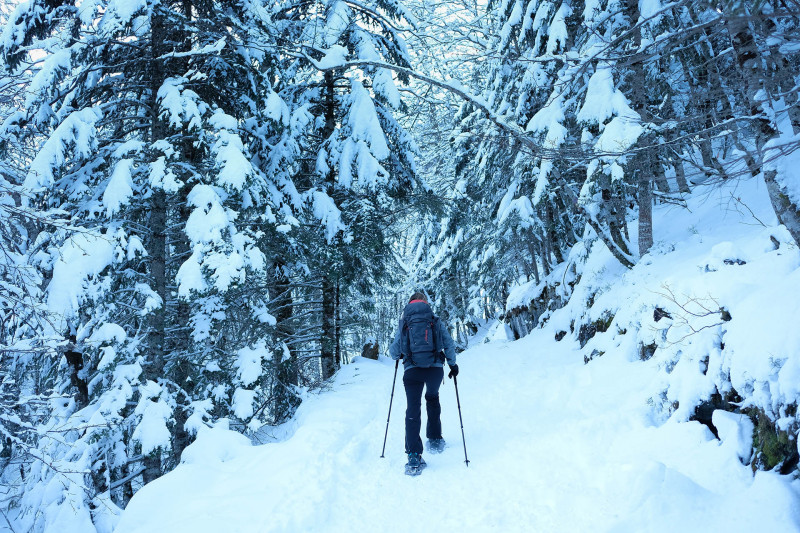 Snowshoes