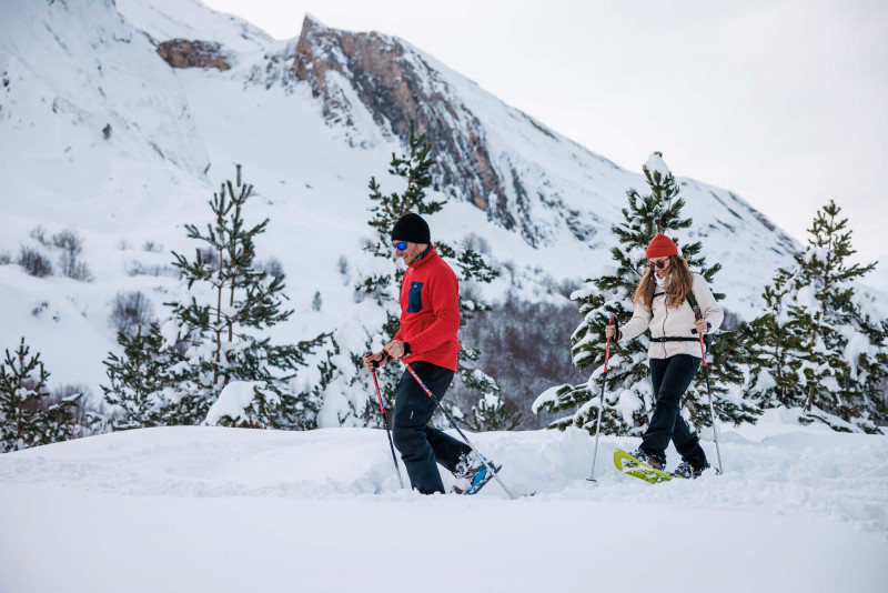Snowshoes