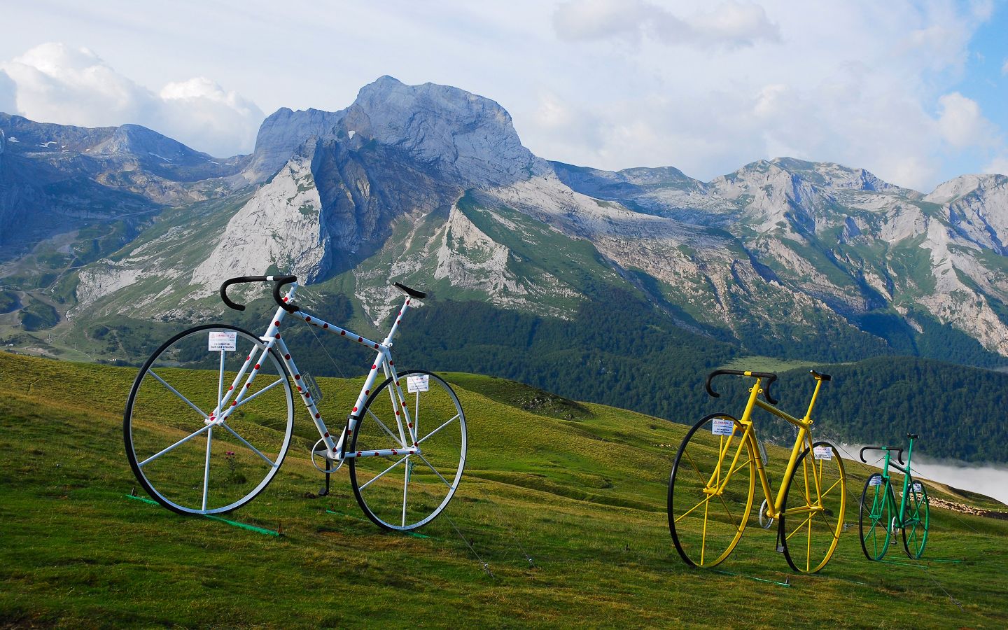 Cafe du Cycliste x Faguo – Café du Cycliste