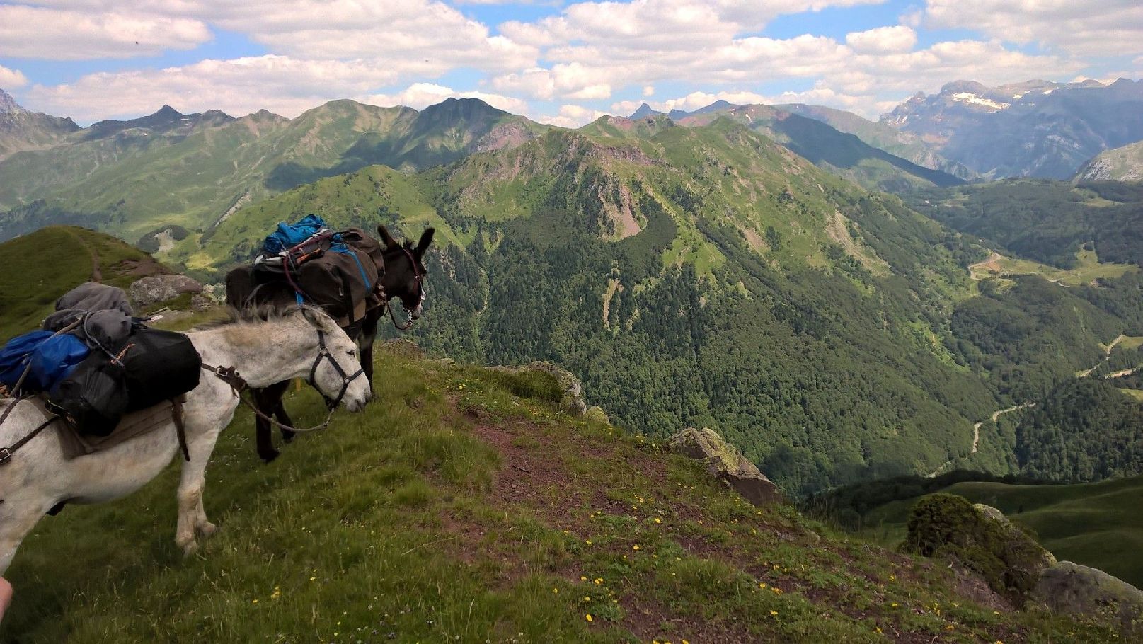 Monsieur David BORDES - Accompagnateur de montagne