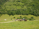 1440Chevauchee-Pyreneenne-4