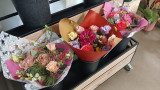 Atelier des papillons 