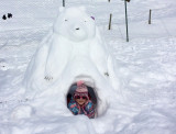 Bureau Montagne Snow-art