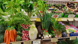 Jardin-Nadege5©Jardin-Nadege