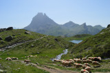 Ossau-Tour-Lacs-Ayous1©OTLaruns-AL