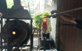 VERRERIE D'ART (12)