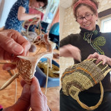 Atelier - Entre liens et lianes