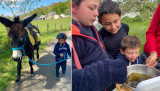 balade + atelier fabrication de baume de plantin