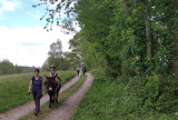 balade avec les ânes