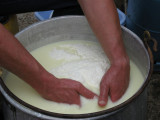 ferme-badie-photo-fromage