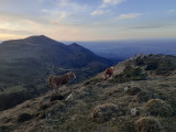 montagne©sylvain-mateo-2
