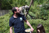 zoo-singes-soigneur-zoo-d-asson-ok-76069