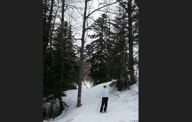 1440 LE BOIS DES CRETETSCapture d’écran 2024-10-04 135935