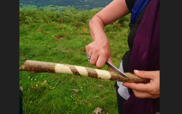 Boscajòcs, les jouets de la forêt