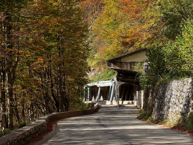 AUTOMNE-ROUTE-GOURETTE4©OTVO