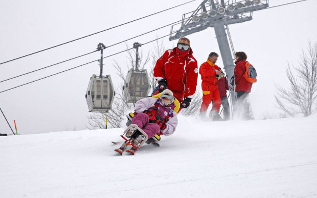 ESF 1440HANDISKIHANDI SKIHandi ski A