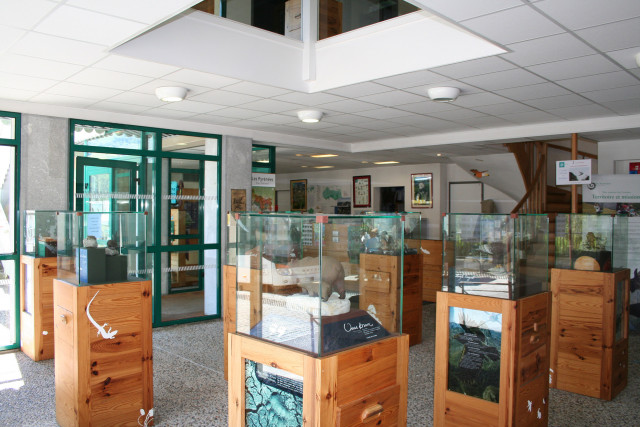 Maison-Parc-Laruns9