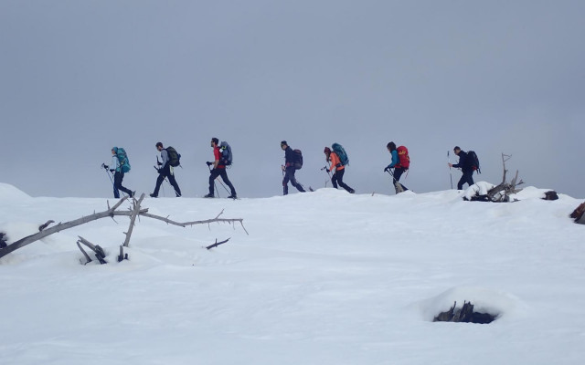 RAQUETTE MILLAN 1440