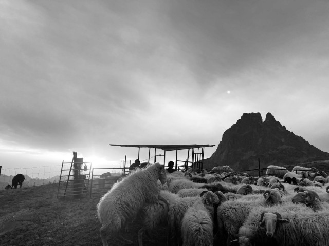 WhatsApp Image 2025-06-04 à 18.20.30_9e04e306