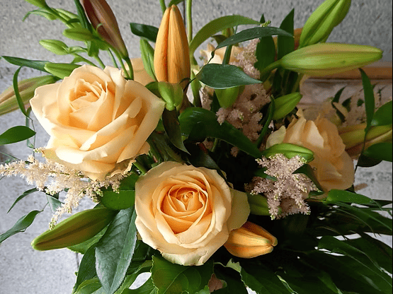 atelier des papillons