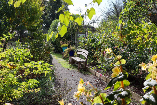 Bench in the Assat Conservatory Orchard Garden 