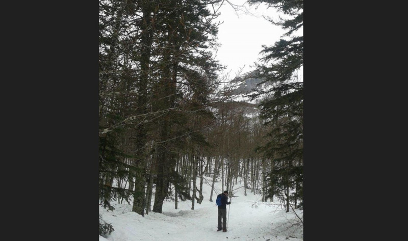 1440 LE BOIS DES CRETETSCapture d’écran 2024-10-04 140100