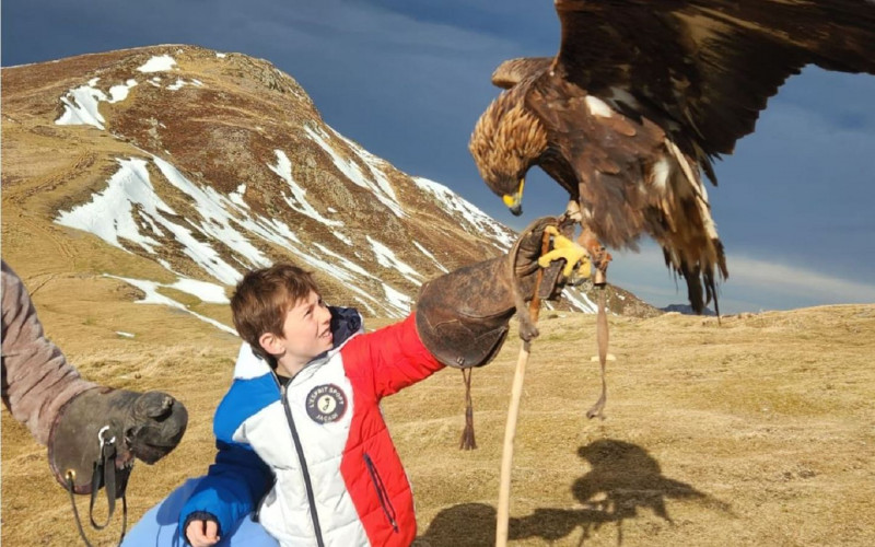 1440-aigle-aubisque©cyril.orliac