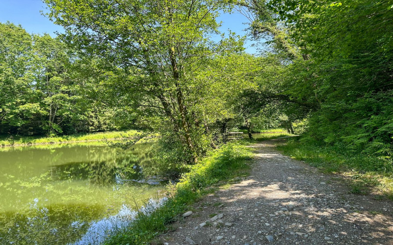 1440LAC-DUCREST10©OTVO