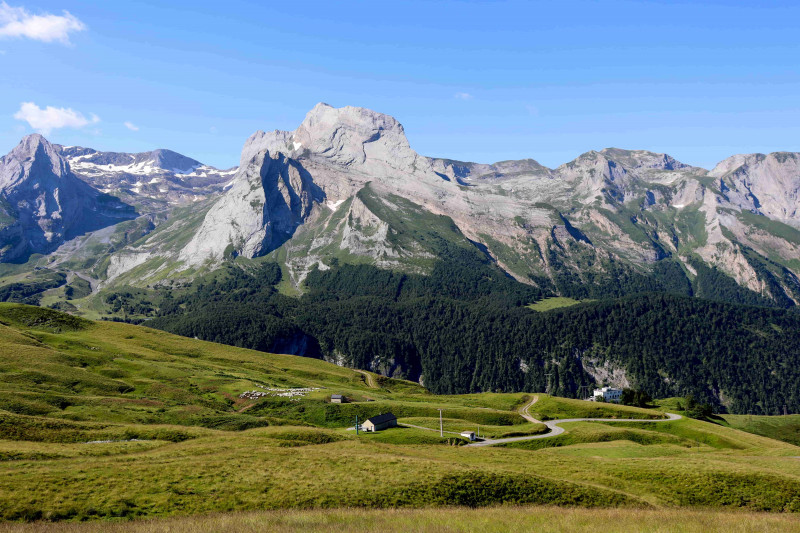 AUBISQUE6©OTVO