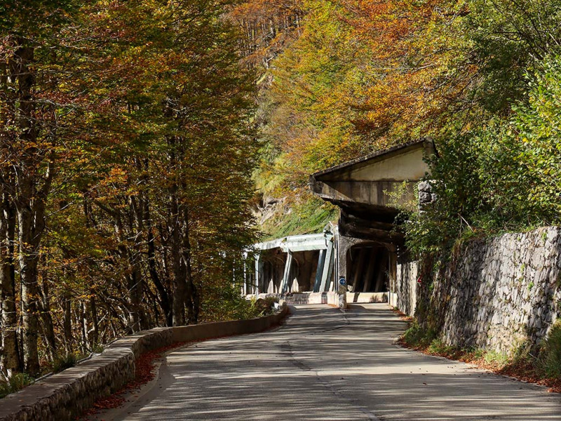 AUTOMNE-ROUTE-GOURETTE4©OTVO