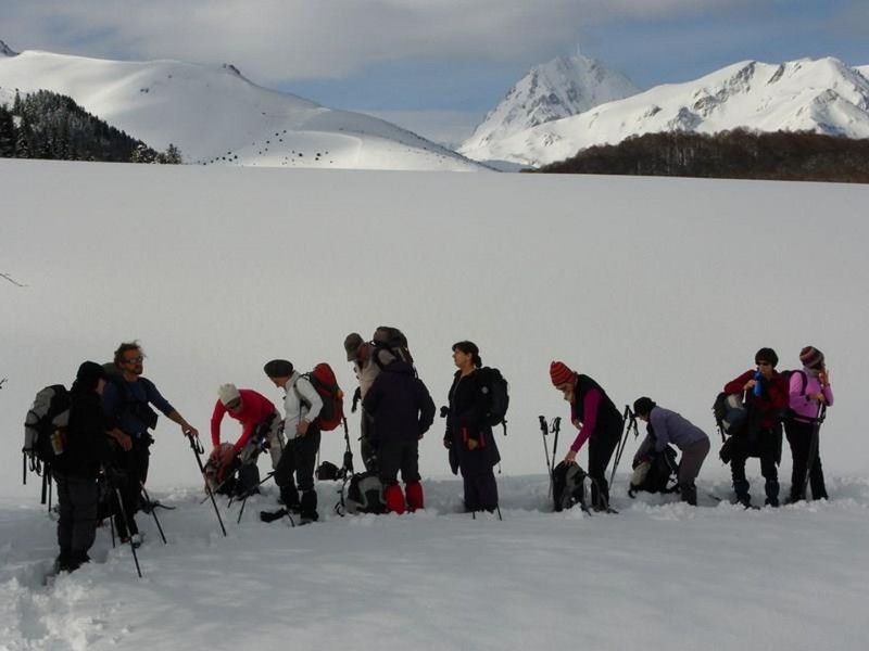 Bureau Montagne raquettes2