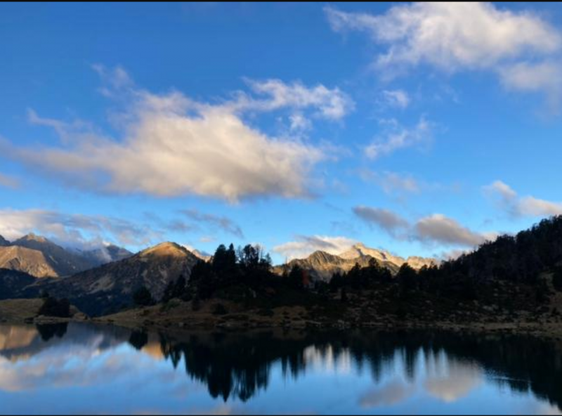 Capture d’écran 2025-12-16 14523 (1)