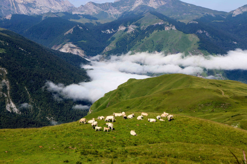 ESTIVE-AUBISQUE17©OTVO