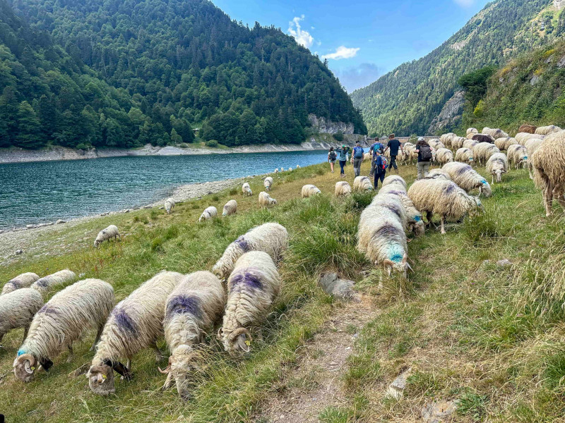 ESTIVE-LAC-FABREGES2©OTVO