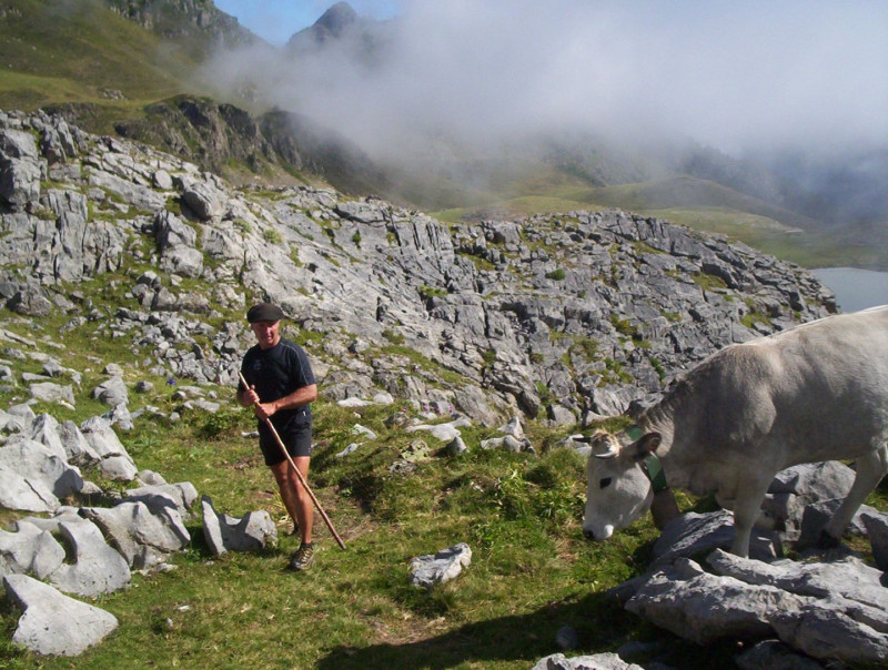 Jean Pierre Pommies transhumance