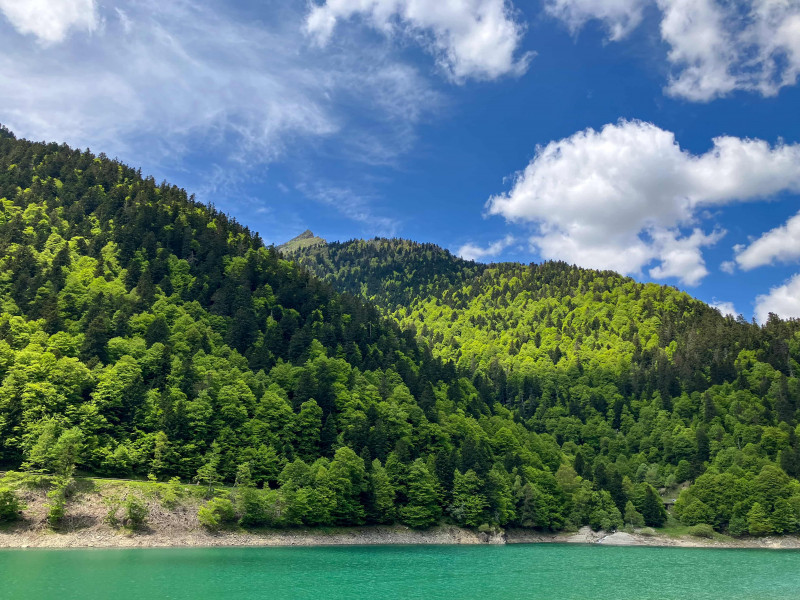 LAC-FABREGES8©IAN-KOH