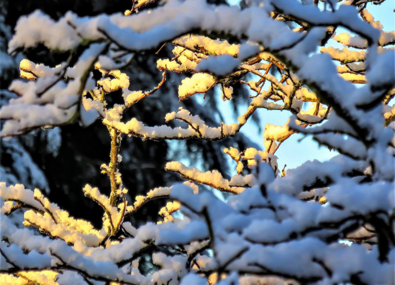 Neige1©Pixabay