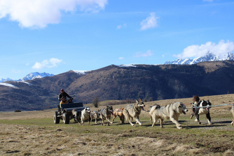 Baptême en Grand attelage (Cani-Kart) - © Tracés Sauvages Baptême en Grand attelage (Cani-Kart)