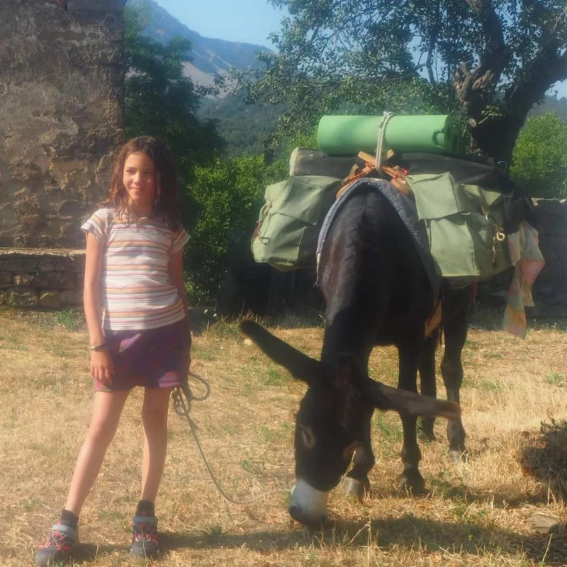 Anes - Entre liens et lianes