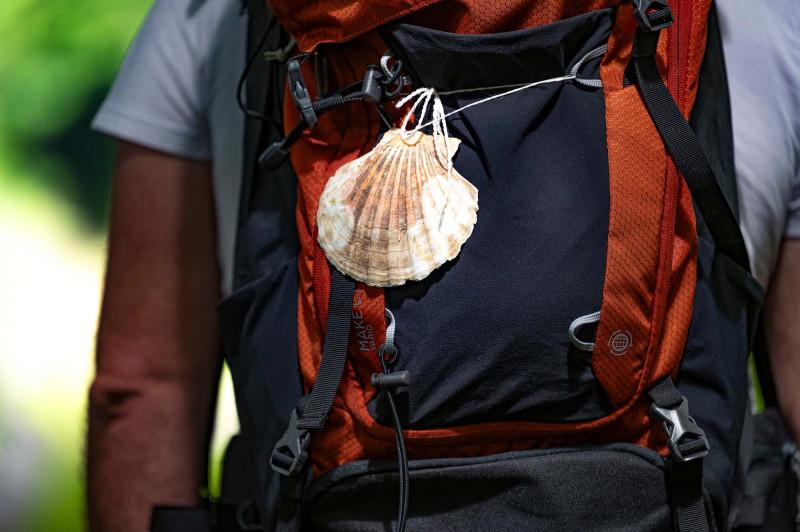 Scallop shell from the Way of St James 