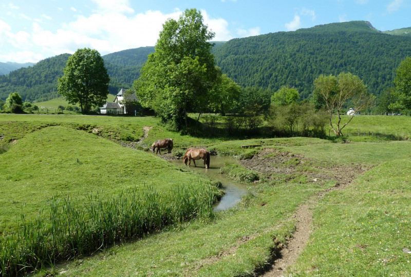 Le plateau et la chapelle