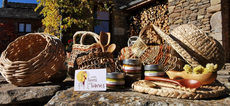 Créations - Entre liens et lianes