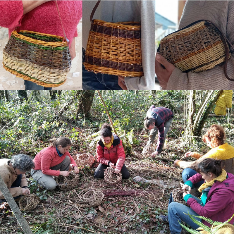 Créations - Entre liens et lianes