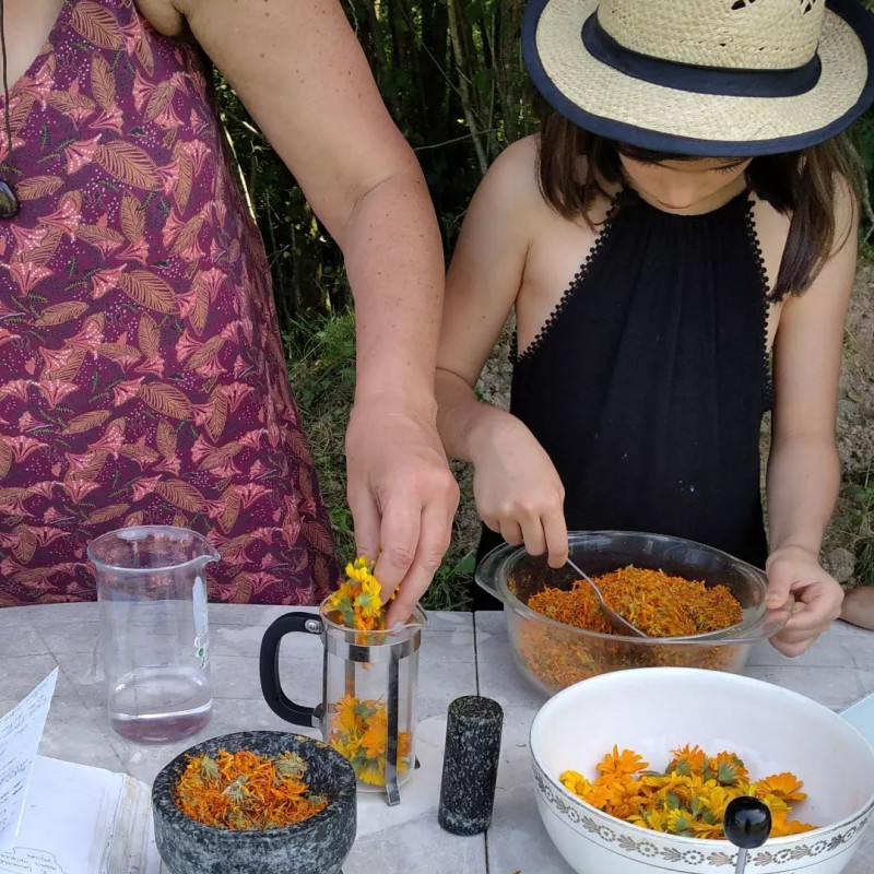 Créations - Entre liens et lianes